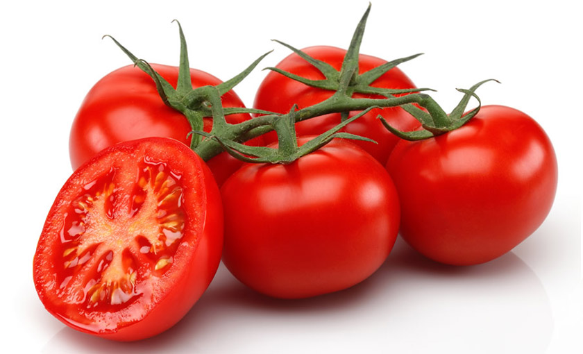 چگونه گوجه فرنگی پرورش دهیم
