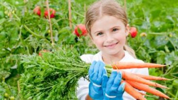 هویج حاوی مقادیر زیادی فیبر غذایی است و باعث هضم غذا می شود