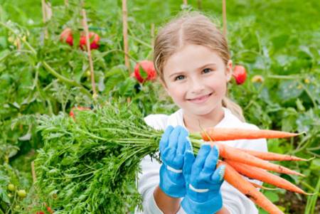 هویج حاوی مقادیر زیادی فیبر غذایی است و باعث هضم غذا می شود