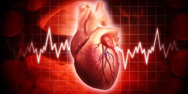 ضربان قلب تعداد دفعات تپش قلب در یک دقیقه است