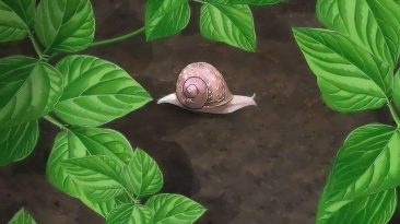 garden snails